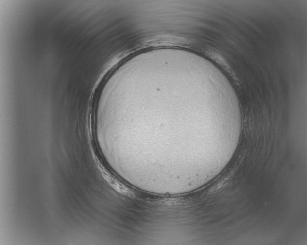 X0000062171130200512301638