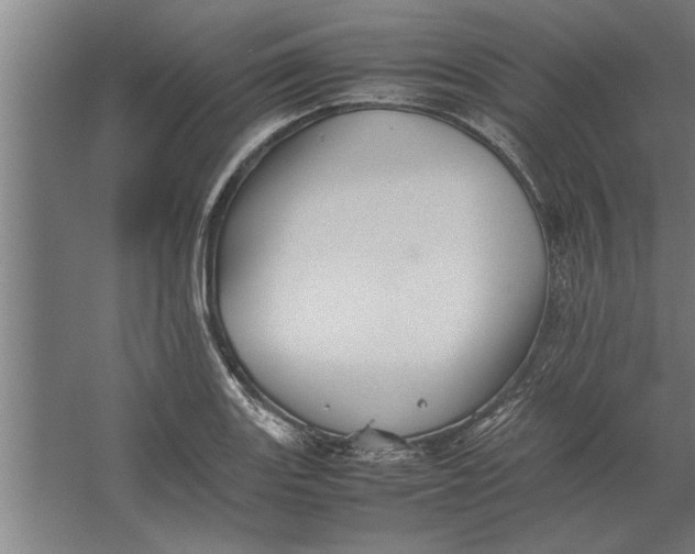 X0000062171131200512301638