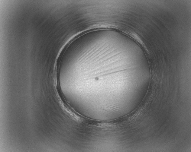 X0000062171132200512301638