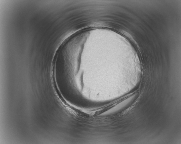 X0000062171133200512301638