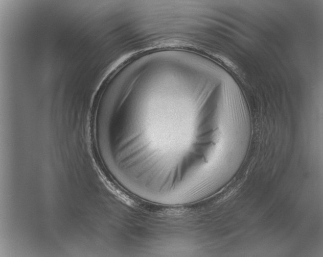 X0000062171134200512301638