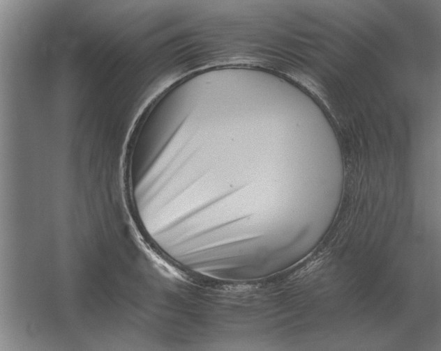 X0000062171135200512301638