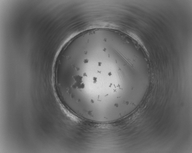 X0000062171136200512301638