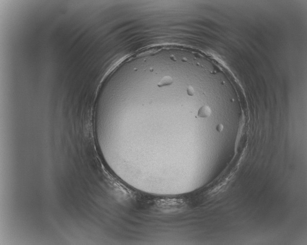 X0000062171137200512301638