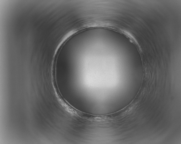 X0000062171138200512301638