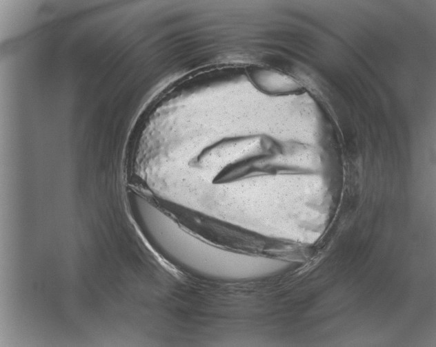 X0000062171141200512301638