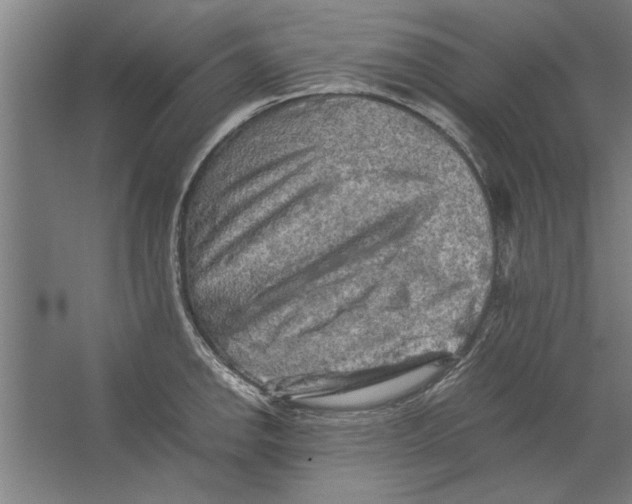 X0000062171142200512301638