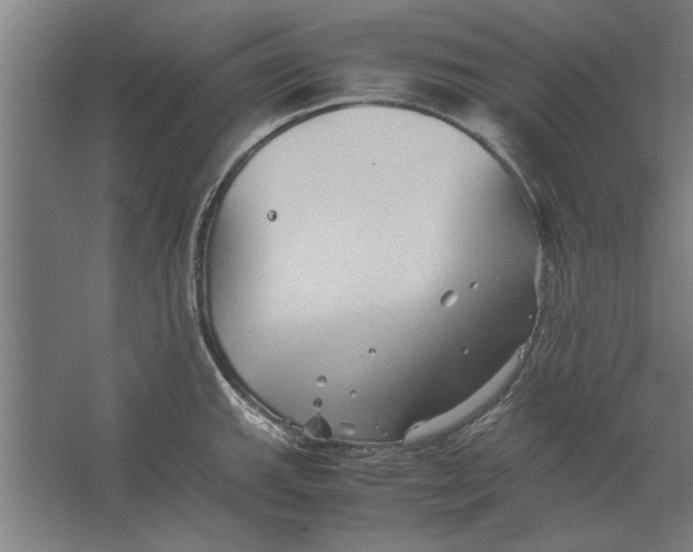 X0000062171143200512301638