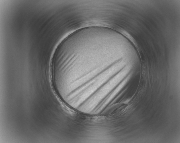 X0000062171144200512301638