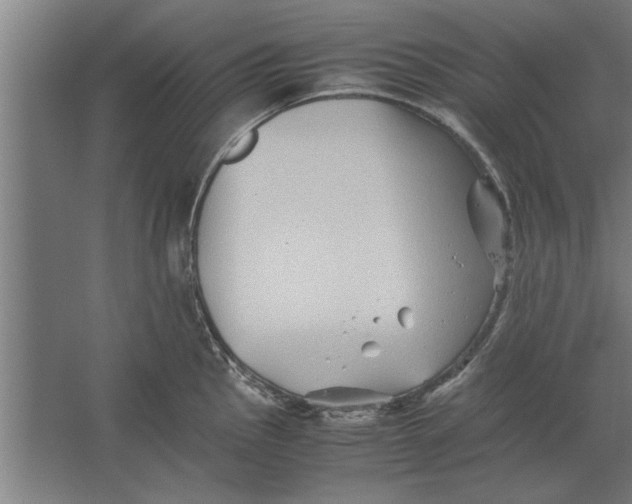 X0000062171145200512301638