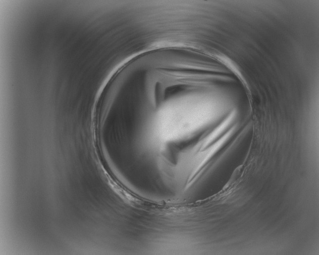 X0000062171148200512301638