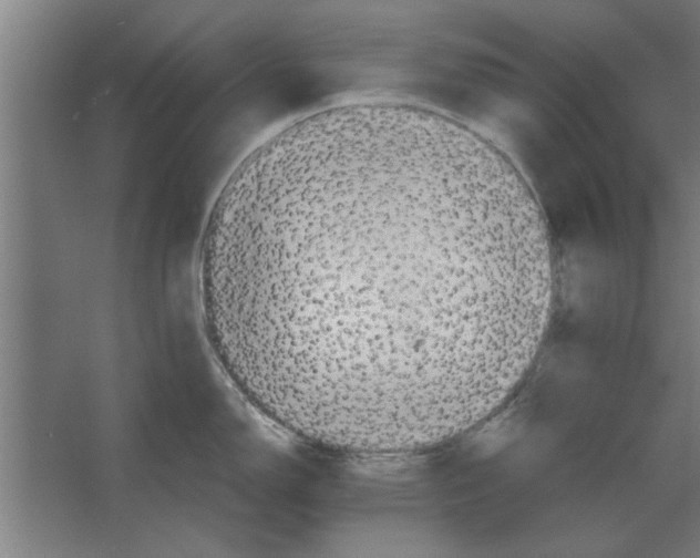 X0000062171150200512301639