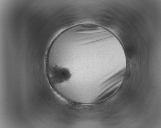 X0000062171151200512301639