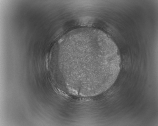 X0000062171154200512301638