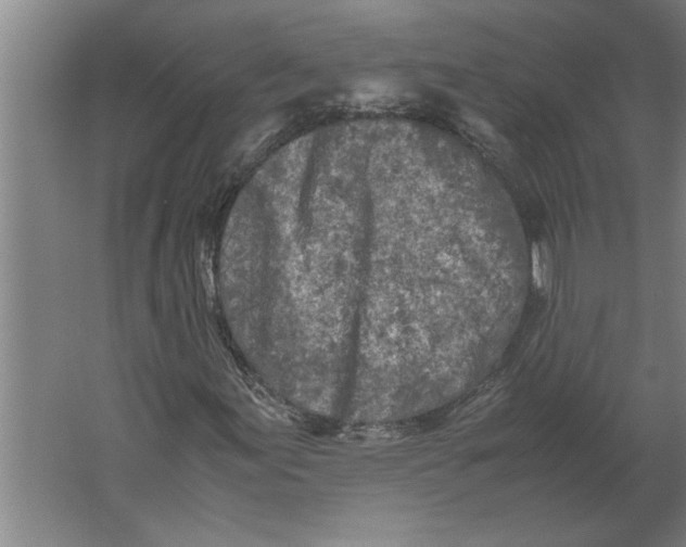 X0000062171155200512301638