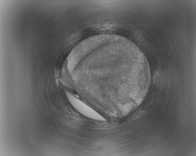 X0000062171156200512301638