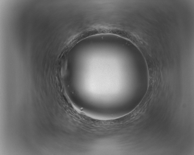 X0000062171157200512301638