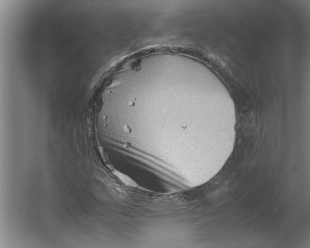 X0000062171159200512301638