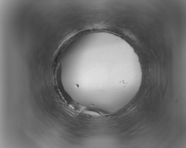 X0000062171160200512301638