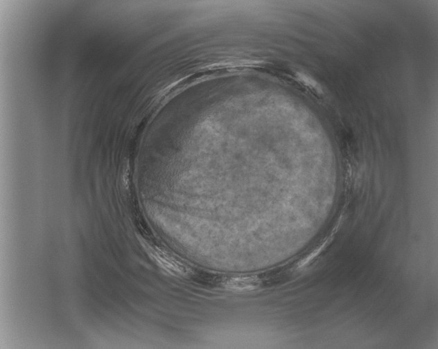 X0000062171161200512301638