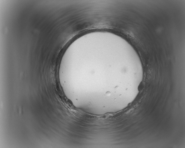 X0000062171162200512301638