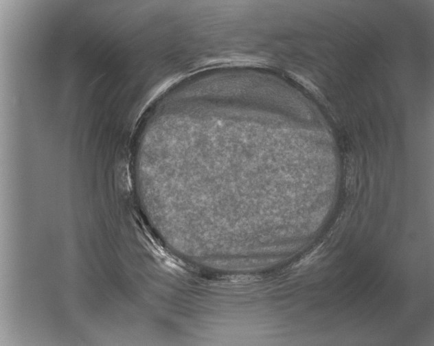 X0000062171163200512301638