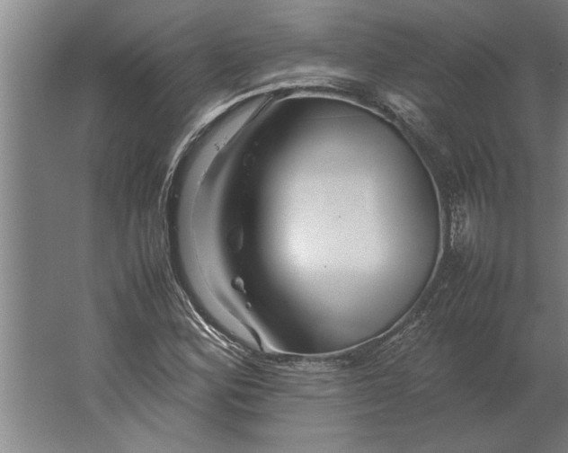 X0000062171164200512301638