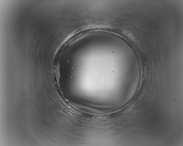 X0000062171165200512301638