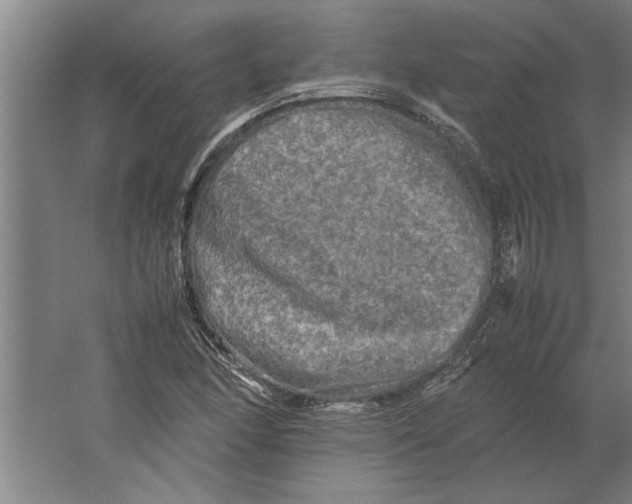 X0000062171166200512301638