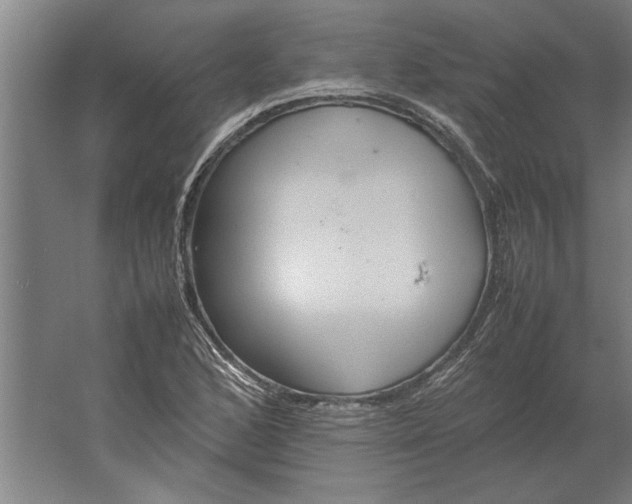 X0000062171168200512301638