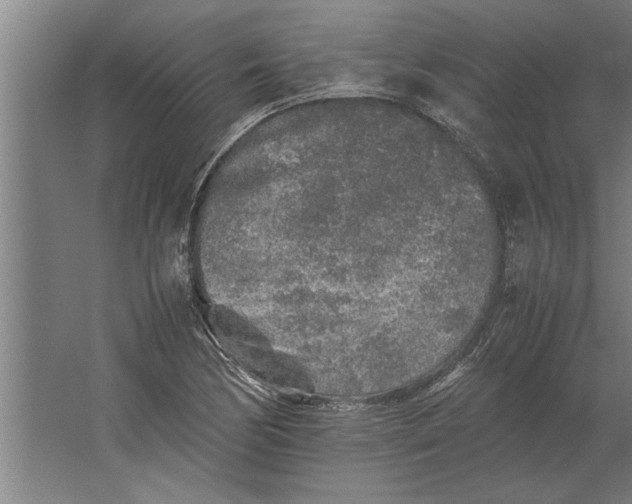 X0000062171170200512301637