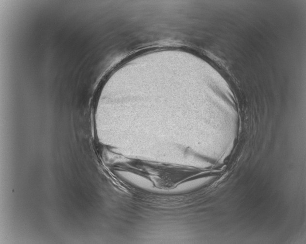 X0000062171171200512301637