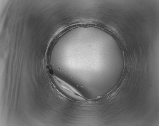 X0000062171172200512301637