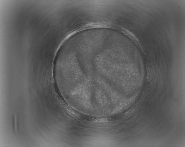 X0000062171174200512301637