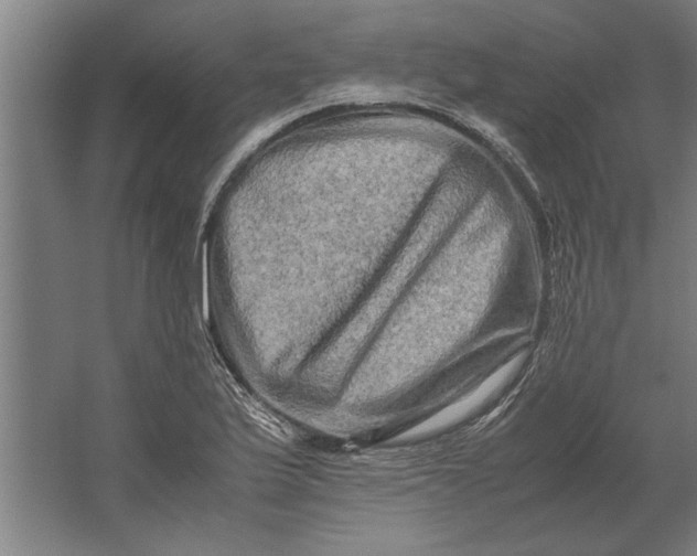 X0000062171175200512301637