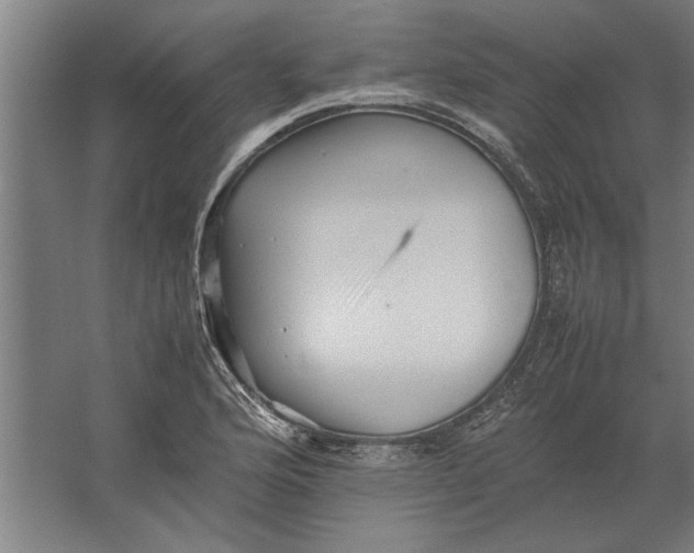 X0000062171176200512301637