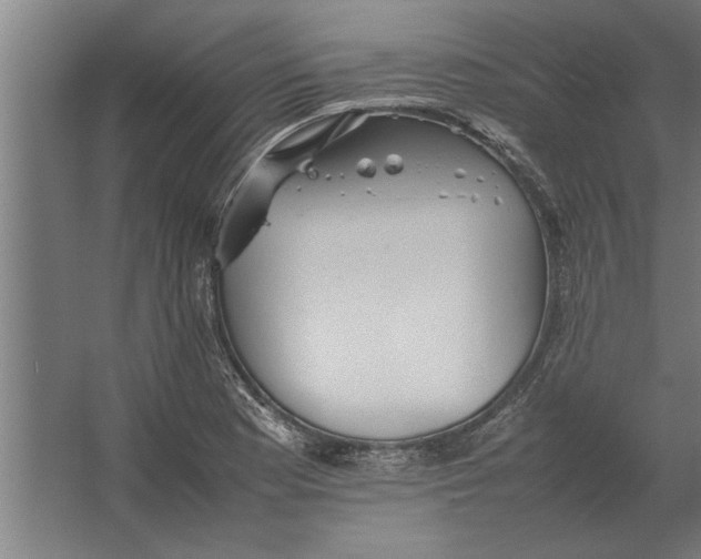 X0000062171177200512301637