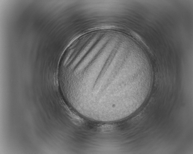 X0000062171178200512301637