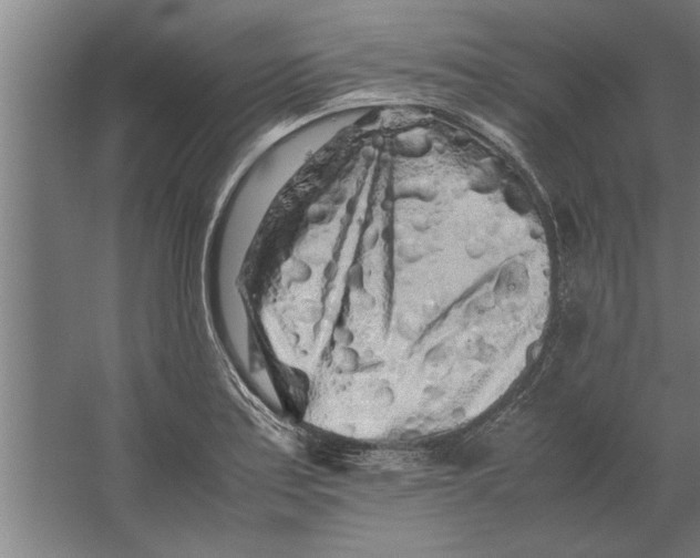 X0000062171179200512301637