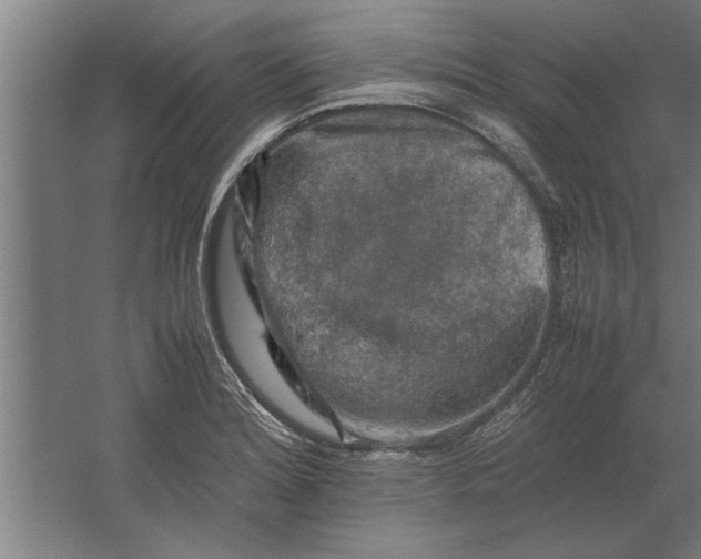 X0000062171180200512301637