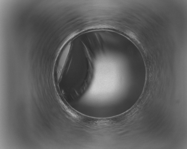 X0000062171181200512301637