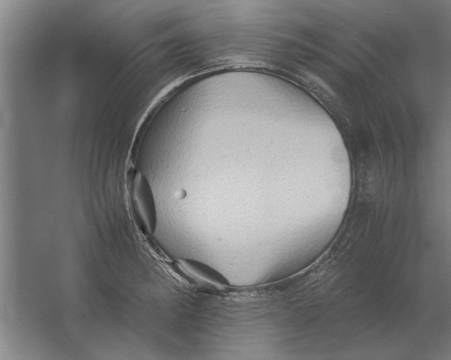 X0000062171182200512301637