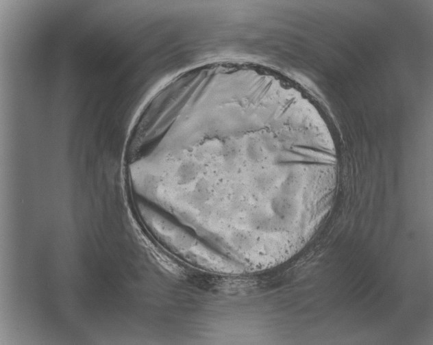 X0000062171183200512301637