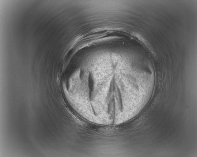 X0000062171185200512301637