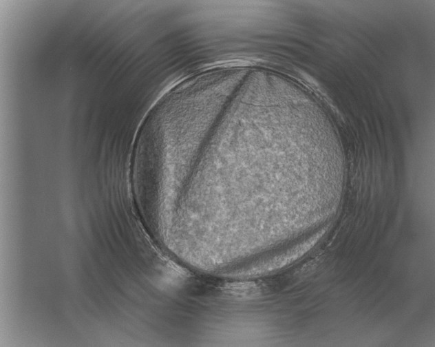 X0000062171186200512301637