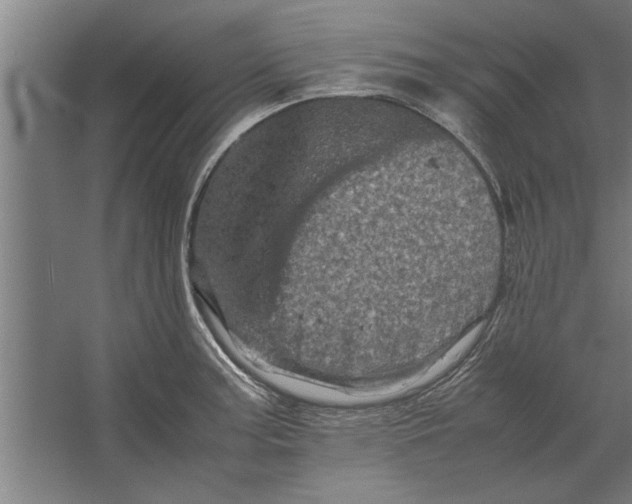 X0000062171187200512301637