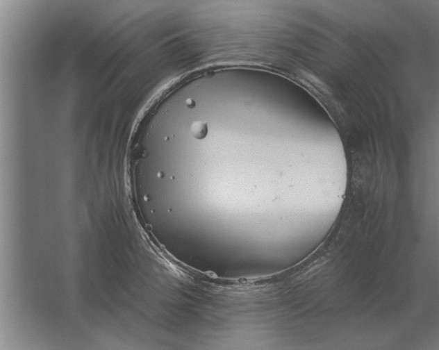 X0000062171188200512301637