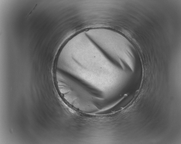 X0000062171189200512301637