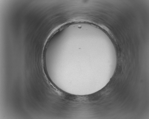 X0000062171191200512301637