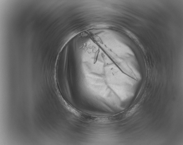 X0000062171194200512301637